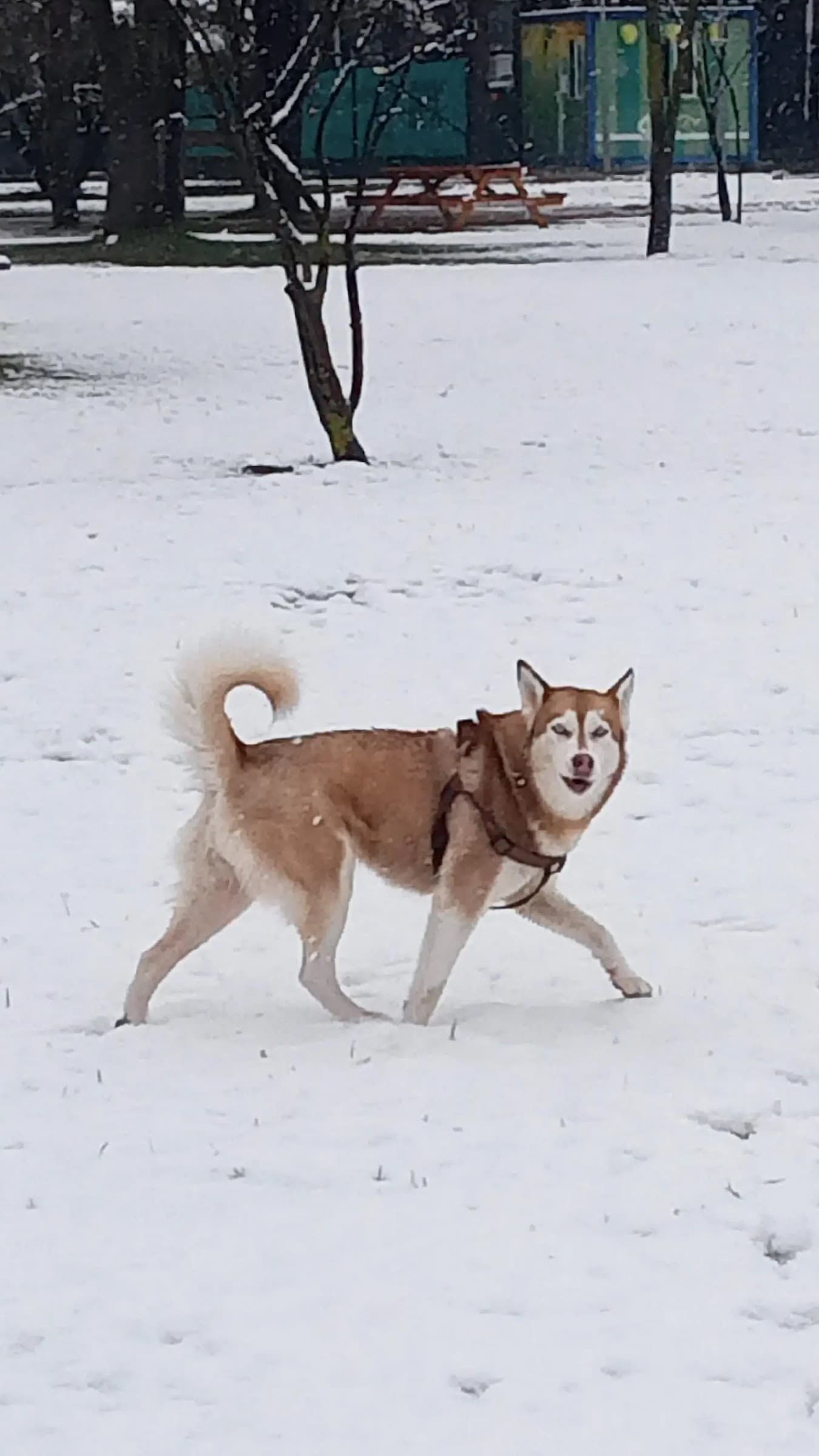 Quiet Moments — Moment 3