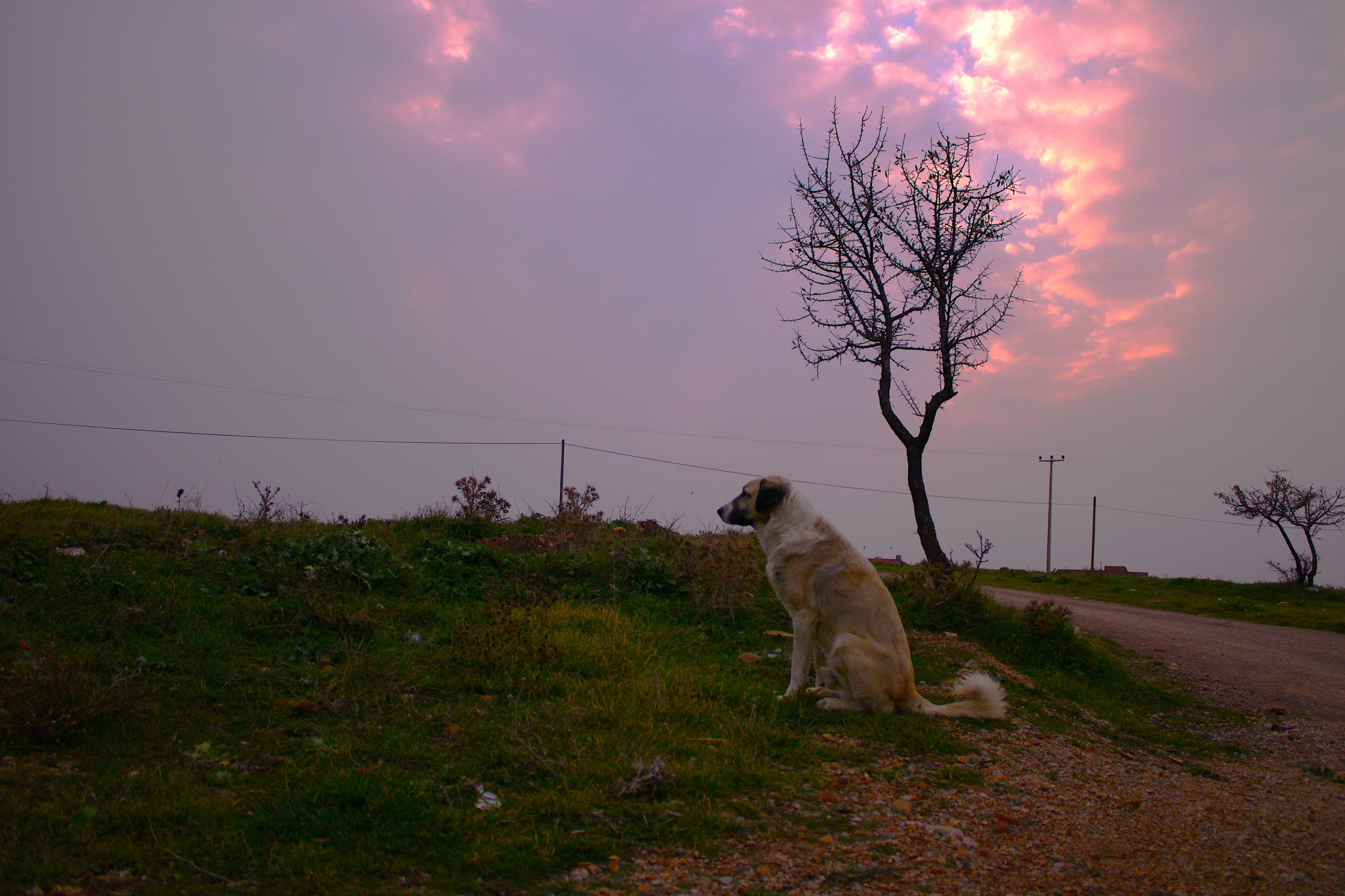 Quiet Moments — Moment 4