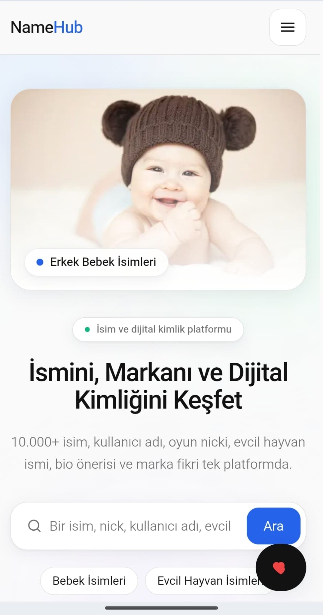 Namehub.tr — Türkiye pazarına yönelik geliştirilmiş modern kurumsal web sitesi.