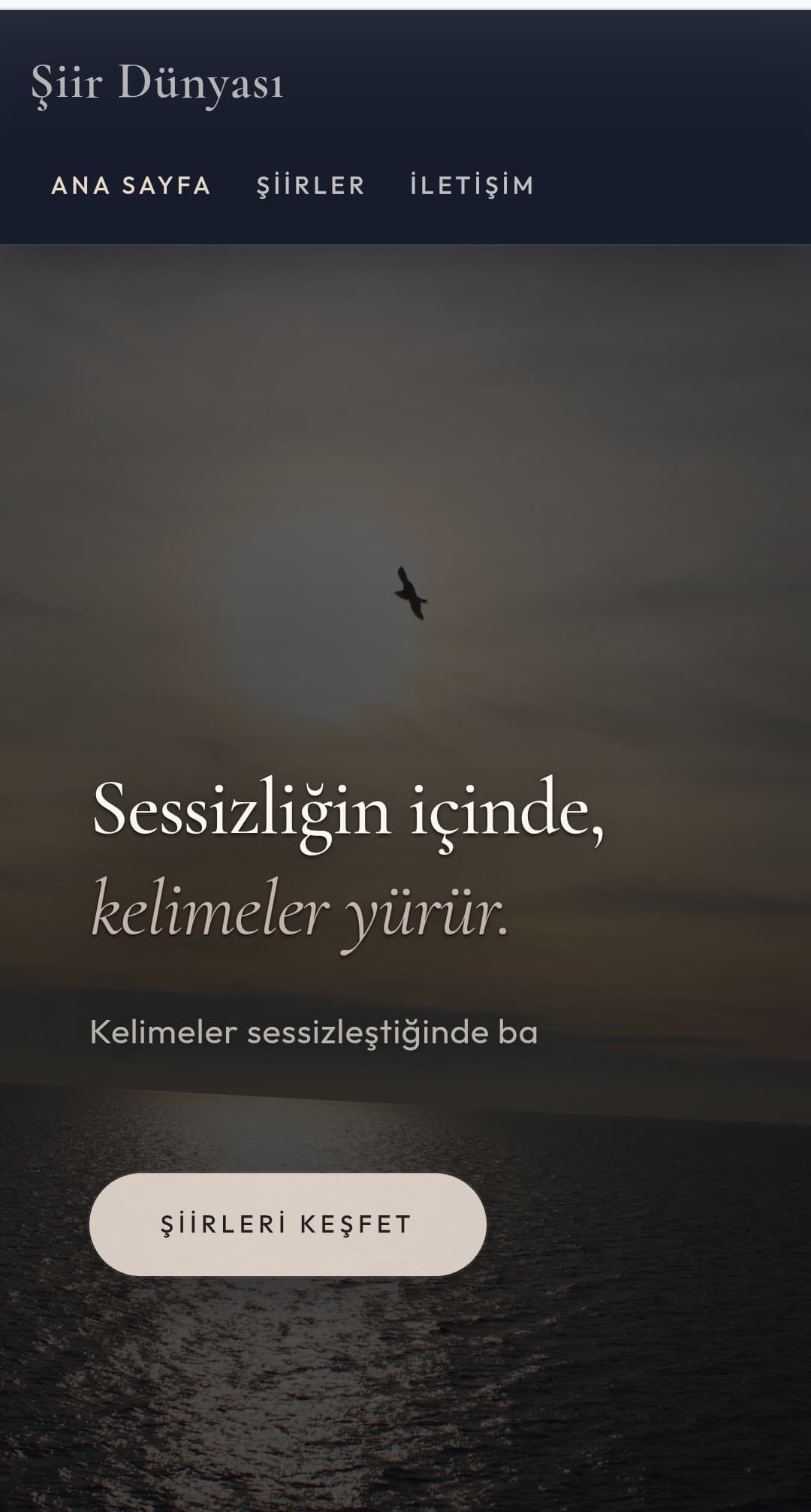 Şiir Dünyası — Şiir ve edebi içeriklerin dijital ortamda paylaşımı için geliştirilmiş içerik platformu.